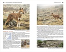 Natuurgids Mammals of Ethiopia, Eritrea, Djibouti and Somalia | Meru Publishing