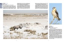 Reisgids Etosha Self-Drive | HPH Publishing