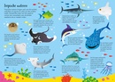 Legpuzzel Dieren van de wereld | Usborne