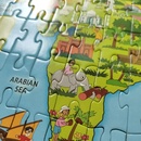 Kinderpuzzel Amazing Asia Legpuzzel | 250 stukjes | Robert Frederick