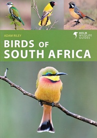 Vogelgids Birds of South Africa - Zuid Afrika | Helm