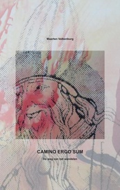 Wandelgids CAMINO ERGO SUM | Brave New Books