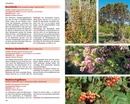 Natuurgids Madeiras Flora - Bloemen en planten op Madeira | Rother Bergverlag