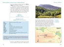 Wandelgids Walking The Munros Vol 1 Southern, Central and Western Highlands - Schotland | Cicerone