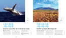 Reisgids - Reisinspiratieboek Ultimate Australia Travel List | Lonely Planet