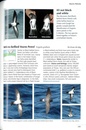 Vogelgids Seabirds of Southern Africa | Struik Nature