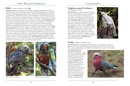 Vogelgids a Naturalist's guide to the Birds of New Zealand | John Beaufoy