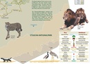 Wegenkaart - landkaart Map of Etosha | Honeyguide